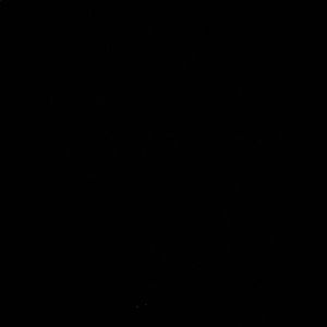 Meet your Posher, Abdoulie dexter